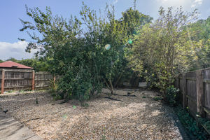Photo 45- click for photo gallery